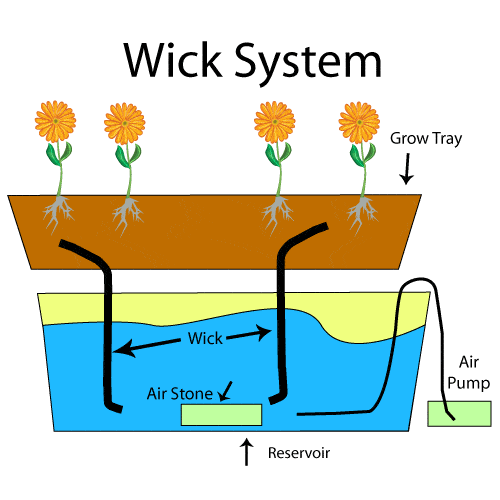 Wicks Hydroponics System