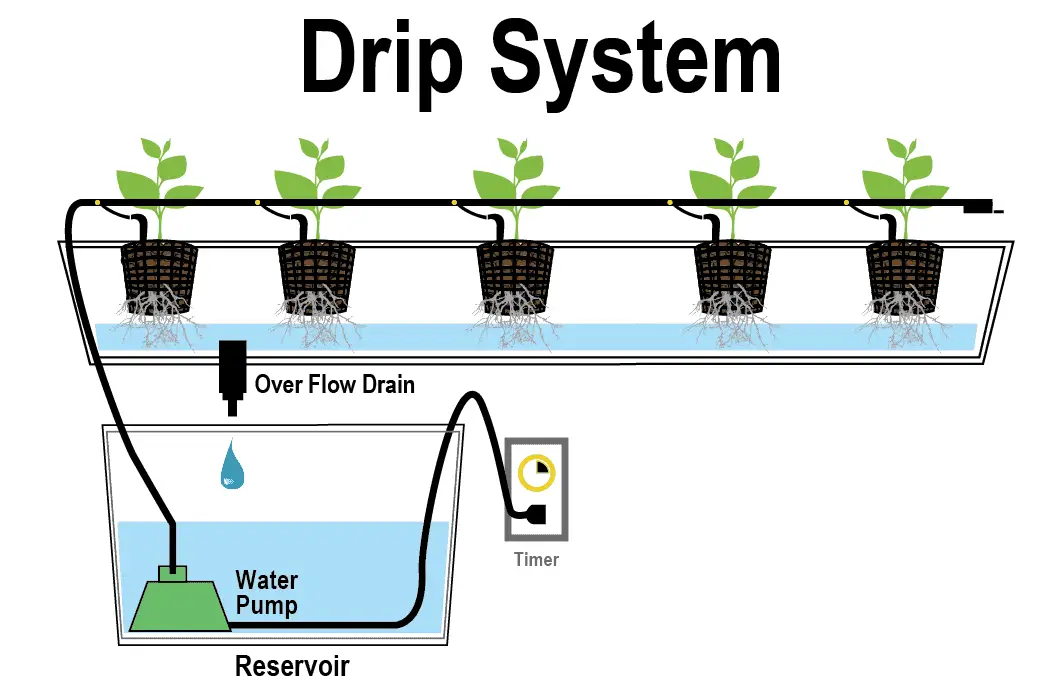 hydroponic drip irrigation system