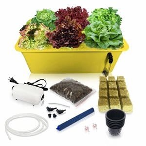 DWC Hydroponic System Growing Kit