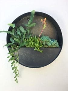 Round Hanging Wall Vase Planter for Succulents