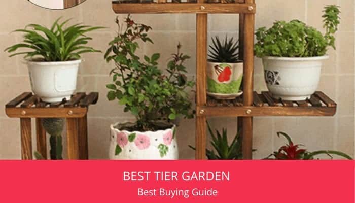 20 Best Tier Garden You Need for Your Home in 2020 – Small Scale Gardener