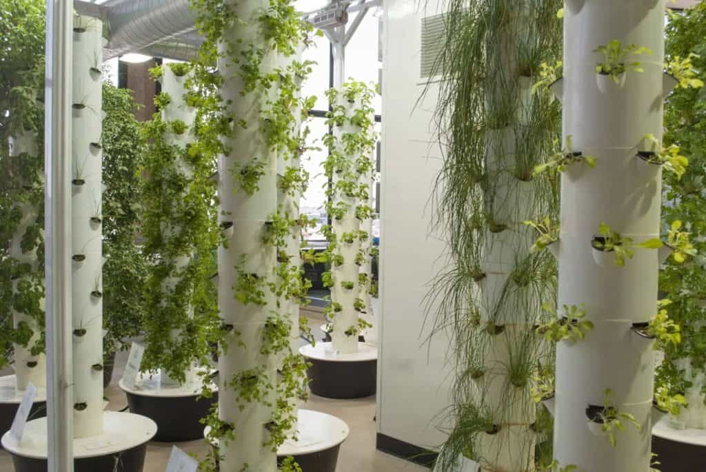 aeroponic tower garden growing vegetables and herbs