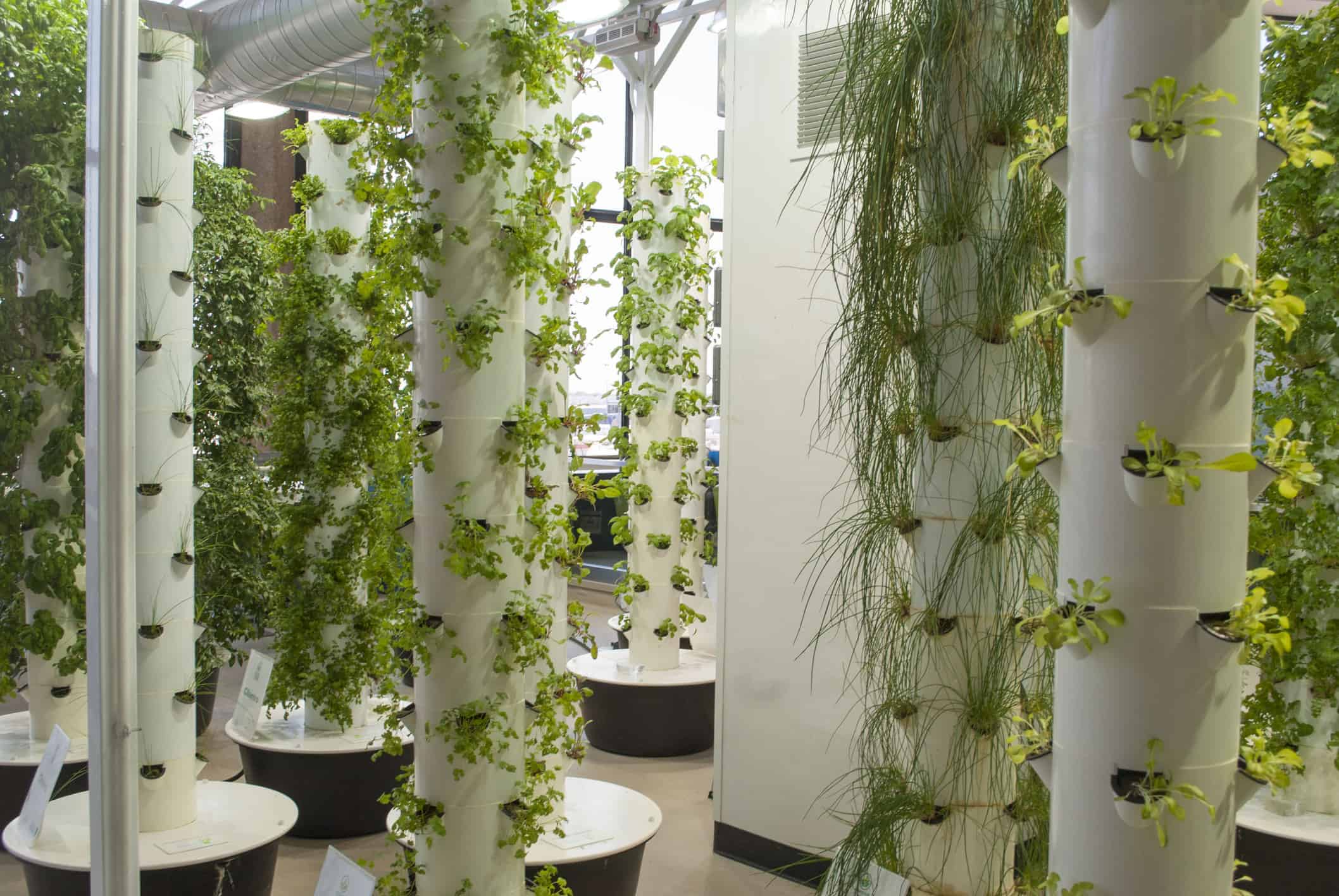 Aeroponics, The Future of Increased Food Supply – Small Scale Gardener