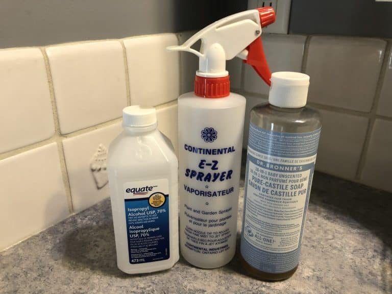 12 Common Plant Problems in Hydroponics and How to Fix