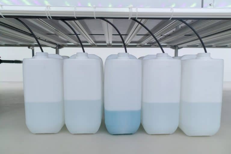 Hydroponic Nutrient Solutions Complete Guide Small Scale Gardener