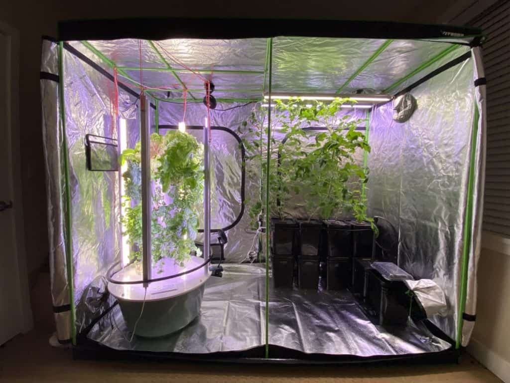 Open Grow Tent