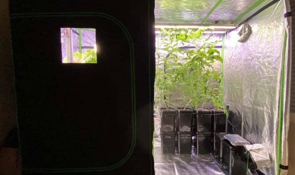 Grow Tent Door