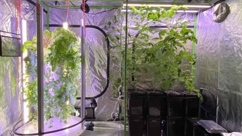 Open Grow Tent