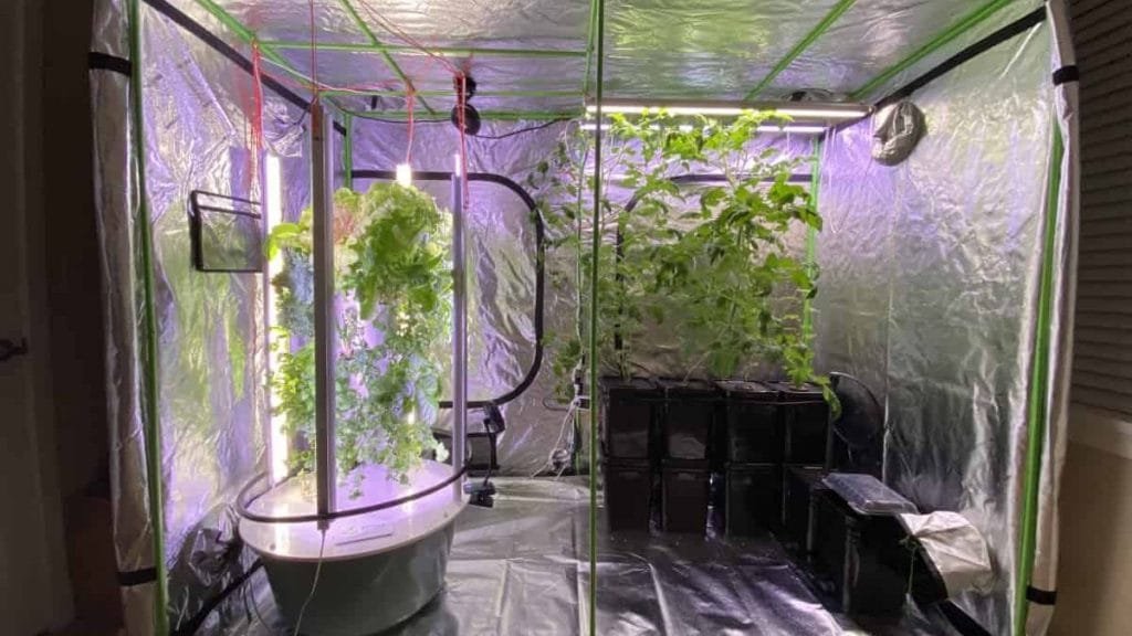 Open Grow Tent