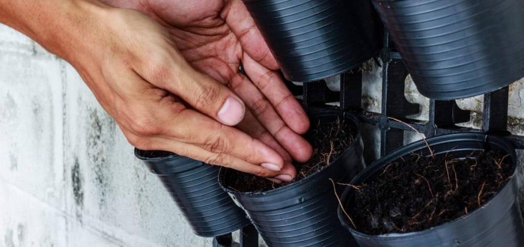 vertical-garden-soil