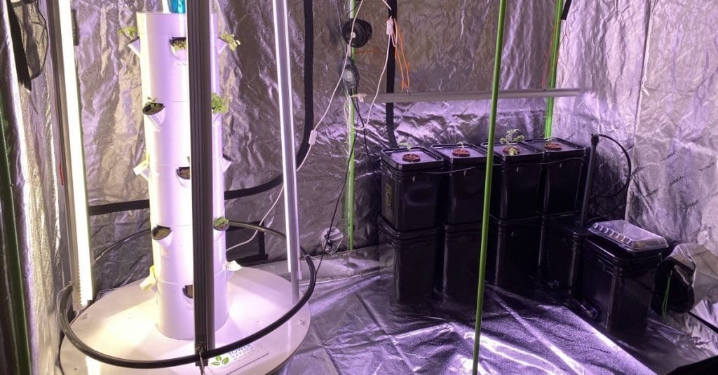 grow-tent-lights