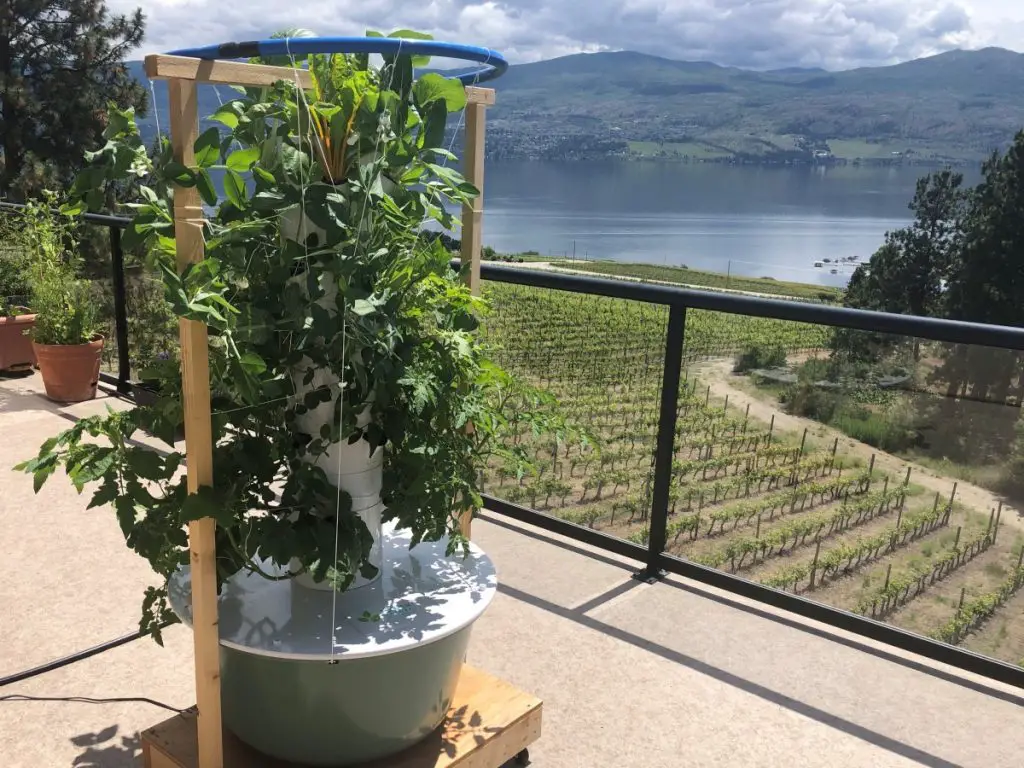 Tower Garden on a deck or patio with lake and mountain background, growing vegetables